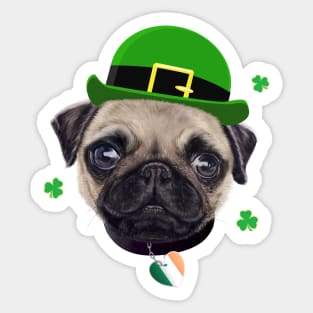 Pug Dog St Patrick’s Day Irish Flag And Shamrocks Sticker